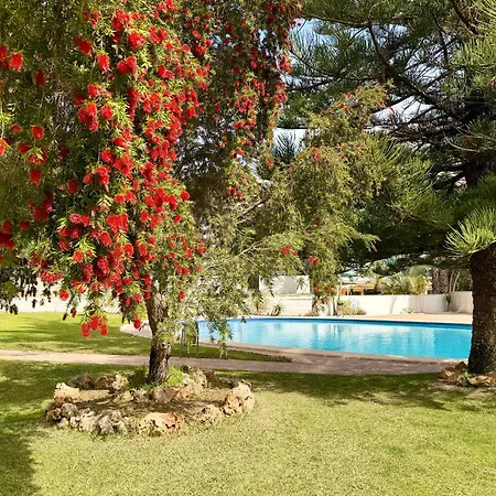 Apartamento Con Vistas Al Mar Y Piscina En La Nina Benidorm